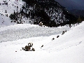 912_refugi Armena i allaus Picture 21