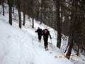 0075 pujant el bosc de Les Chazals foto ELl Picture 60