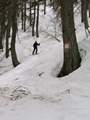 0105 al bosc de Les Chazals Picture 87