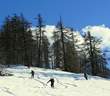 53 baixant del Plateau de Bouchiers foto R Godia Picture 41