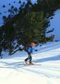037 pujant cap al Coll de Meners Picture 10