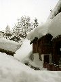 2385_Stuben Picture 2