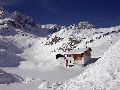 2398_Zurs Picture 14