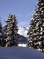 2404_Zug Picture 20