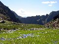 2704 aiguamolls a la vall de Canedo Picture 7