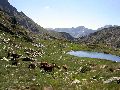 2731 Estany de Baborte Picture 19